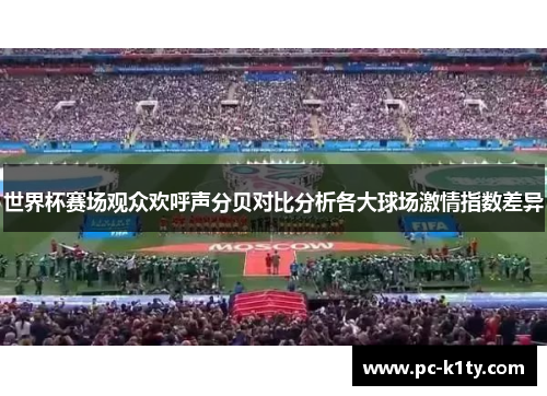 世界杯赛场观众欢呼声分贝对比分析各大球场激情指数差异