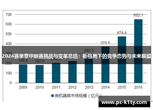 2024赛季意甲联赛挑战与变革总结：新格局下的竞争态势与未来展望