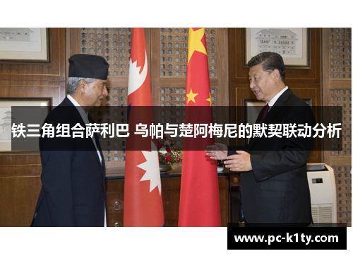 铁三角组合萨利巴 乌帕与楚阿梅尼的默契联动分析
