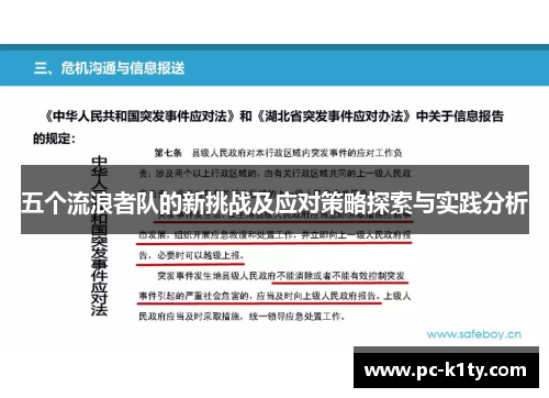 五个流浪者队的新挑战及应对策略探索与实践分析