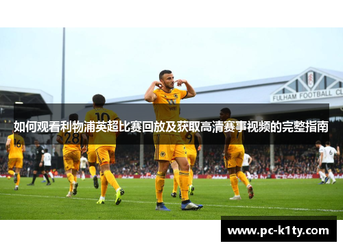 如何观看利物浦英超比赛回放及获取高清赛事视频的完整指南