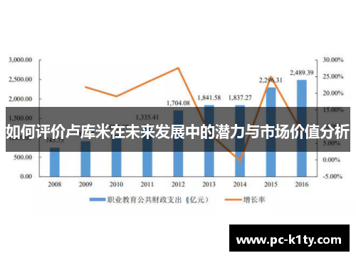 如何评价卢库米在未来发展中的潜力与市场价值分析
