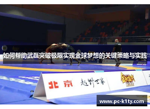 如何帮助武磊突破极限实现金球梦想的关键策略与实践