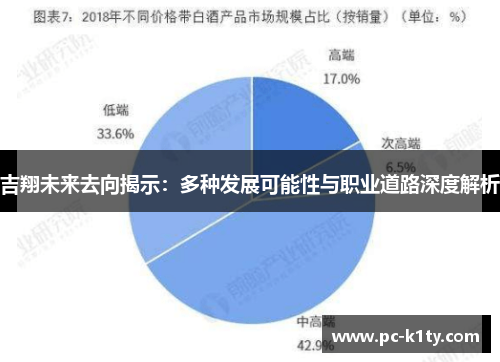 吉翔未来去向揭示：多种发展可能性与职业道路深度解析