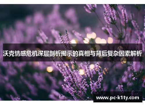 沃克情感危机深层剖析揭示的真相与背后复杂因素解析