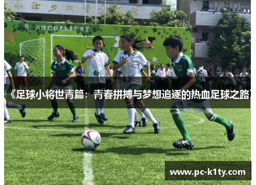 《足球小将世青篇：青春拼搏与梦想追逐的热血足球之路》