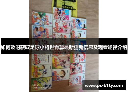 如何及时获取足球小将世青篇最新更新信息及观看途径介绍