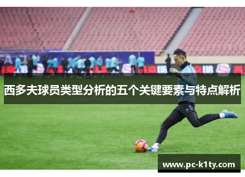 西多夫球员类型分析的五个关键要素与特点解析
