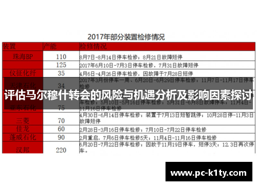 评估马尔穆什转会的风险与机遇分析及影响因素探讨